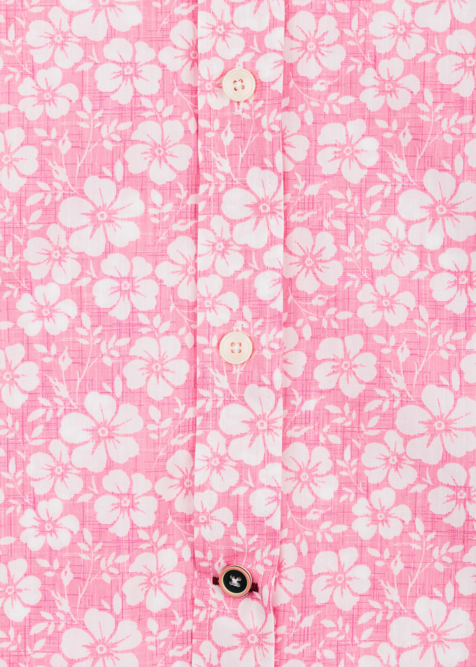 ACCIAROLI M/L SHIRT